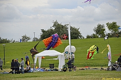 Venice kite festival_0542